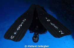 Would you follow this dive guide??? by Michael Gallagher 